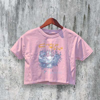 Cocteau Twins Crop Top Treasure Crop Tee Retro Album Art Shirt Band