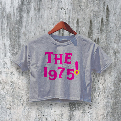 The 1975 Crop Top Y2K Crop Tee Vintage Pink Shirt 70s Women Tee - bestshirtz#
