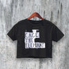 Cage The Elephant Crop Top Rock Band Crop Tee Vintage Concert Fan Shirt