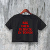 Dick Back In Town Crop Top Y2K Crop Tee Statement Shirt Stupid Gift - bestshirtz#