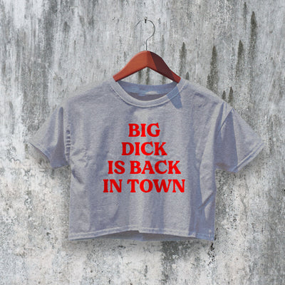 Dick Back In Town Crop Top Y2K Crop Tee Statement Shirt Stupid Gift - bestshirtz#