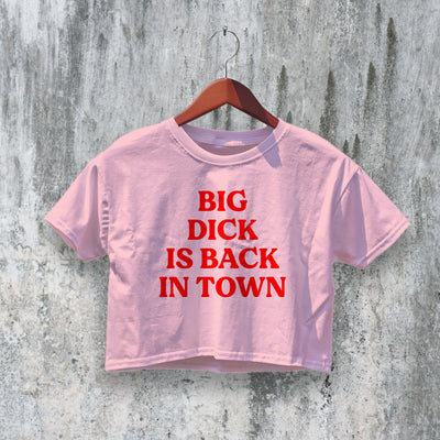 Dick Back In Town Crop Top Y2K Crop Tee Statement Shirt Stupid Gift - bestshirtz#